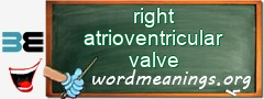 WordMeaning blackboard for right atrioventricular valve